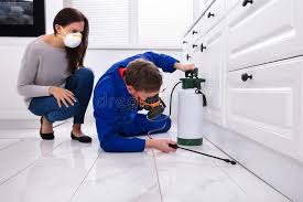 Best Pest Exclusion Services  in Glens Falls North, NY