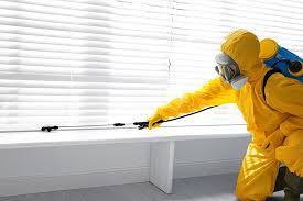 Best Organic or Eco-Friendly Pest Control  in Glens Falls North, NY